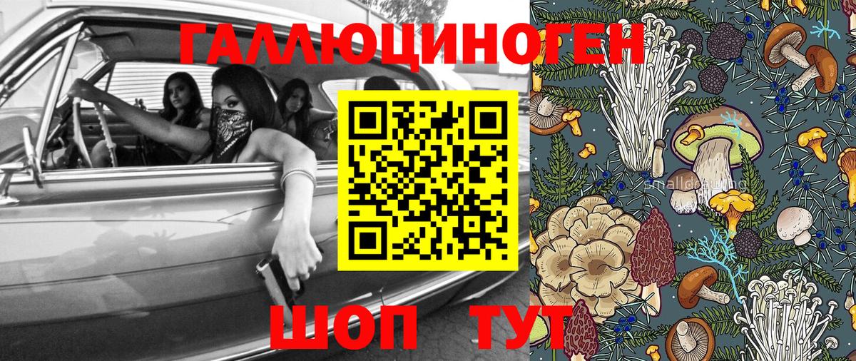 Химки  Псилоцибиновые грибы Psilocybe  дарнет шоп  Вход с VPN 